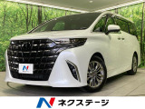 後席モニター 両側電動ドア 全周囲カメラ 100V 衝突軽減 BSM