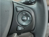 ◆アダプティブクルーズコントロール◆予め設定した車速内でクルマが自動的に加減速。前走車との適切な車間距離を維持しながら追従走行します。【LKAS】車線維持支援システムでステアリング操作を支援。