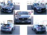 CX-30 2.0 20S ブラックトーンエディション