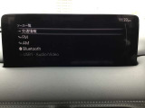 オーディオソースはこのようになっています。