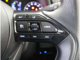 ステアリングスイッチ付き。前方から目を離すことなく操作することが可能です。