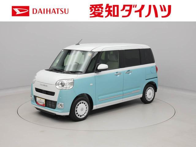 ムーヴキャンバス  ストライプス G