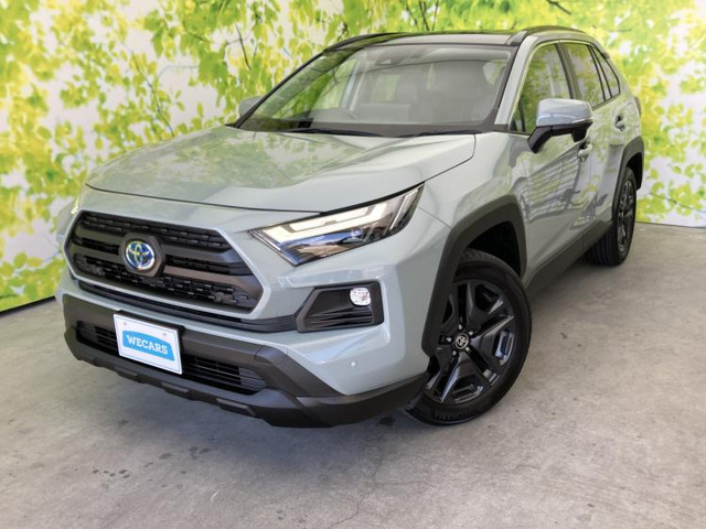 RAV4 2.5 ハイブリッド アドベンチャー E-Four 4WD
