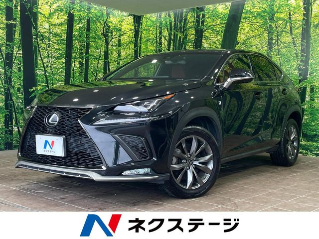 NX 300 Fスポーツ 