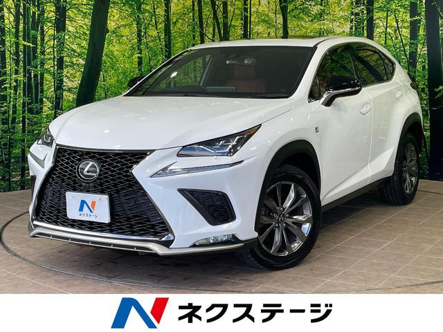 NX 300 Fスポーツ