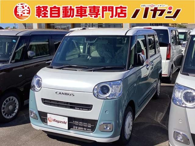 ムーヴキャンバス  ストライプス G