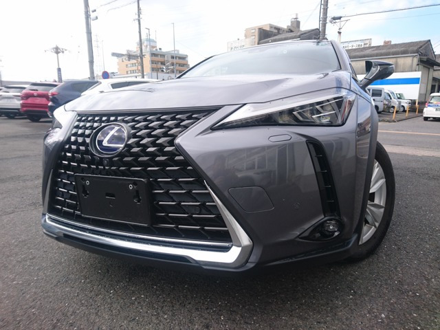 UX 250h バージョンC 