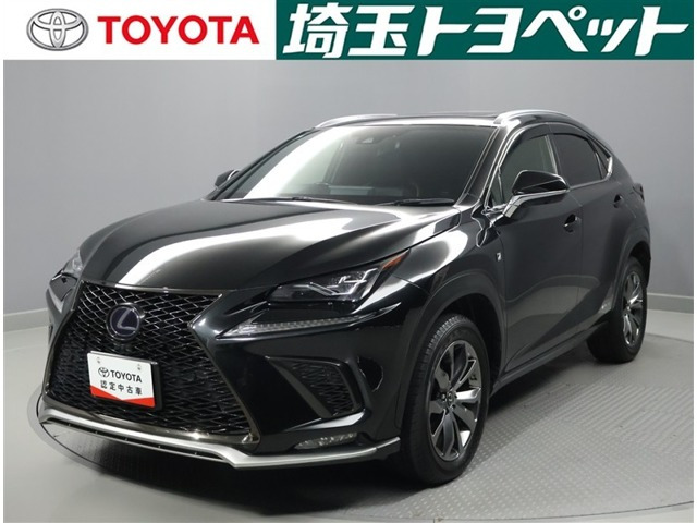 NX 300h Fスポーツ 