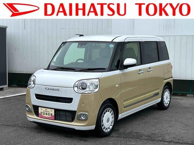 ムーヴキャンバス  ストライプス G