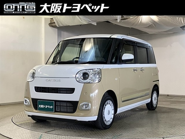 ムーヴキャンバス  ストライプス G