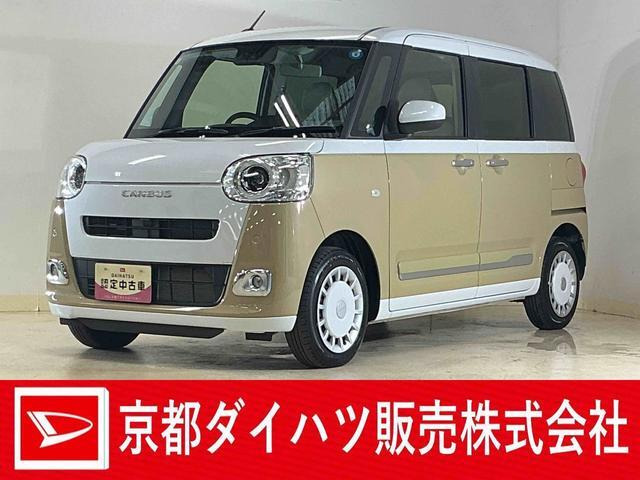 ムーヴキャンバス  ストライプス G