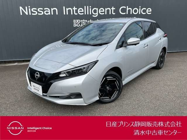 リーフ e+ X