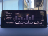 i-DM(インテリジェント・ドライブ・マスター)は運転操作の無駄を抑えたスムーズな運転をサポートし、快適なドライブや燃料消費を抑える事にも役立つアイテムです。