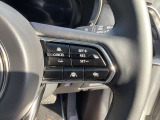 ステアリングスイッチで、先行車に自動追従するアダプティブクルーズコントロールが作動可能。設定した車速内での車間距離を自動で調整・維持。高速道路の渋滞時もアクセル・ブレーキ操作から解放されます。