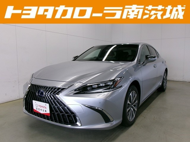 ES 300h