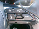 クルーズコントロールで一定速度をキープできます。運転の疲労も軽減してくれ、燃費節約にも役立ちます。ロングドライブの頼もしい味方ですね。
