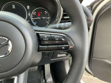 ステアリングスイッチで、先行車に自動追従するアダプティブクルーズコントロールが作動可能。設定した車速内での車間距離を自動で調整・維持。高速道路の渋滞時もアクセル・ブレーキ操作から解放されます。