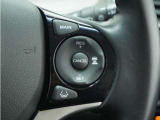 ◆アダプティブクルーズコントロール◆予め設定した車速内でクルマが自動的に加減速。前走車との適切な車間距離を維持しながら追従走行します。【LKAS】車線維持支援システムでステアリング操作を支援。