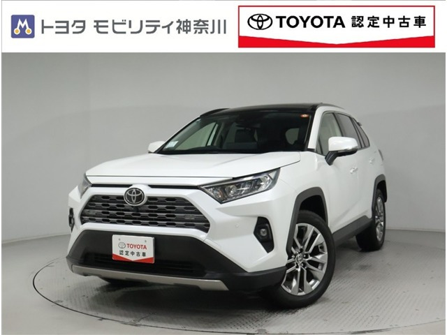 RAV4  2.0 G Zパッケージ 4WD
