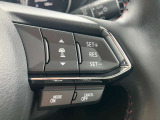 0km/hから100km/h追従機能付きのレーダークルーズコントロール!停車状態からの追従開始と、追従中に先行車に続いて停止することができるようになりました!(再発進はドライバーのアクセルONによります)