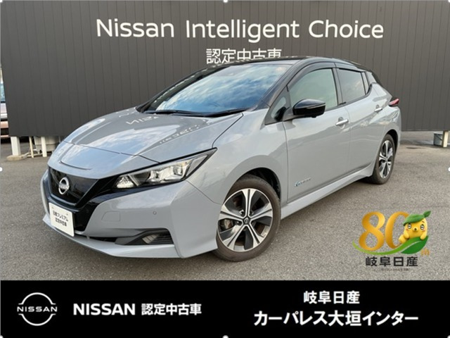 リーフ  X Vセレクション
