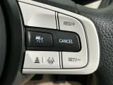 クルーズコントロールを装備しています。高速道路などで一定の速度で走ってくれるので運転が楽ですよ!速度を設定できますので、スピードの出しすぎにも注意できます。