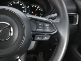 レーダークルーズコントロールを装備。アクセルやブレーキを操作しなくても、自動で先行車との車間距離を保ち追従走行できます。長距離や高速道路を運転する際に、ドライバーへの負担を軽減します。