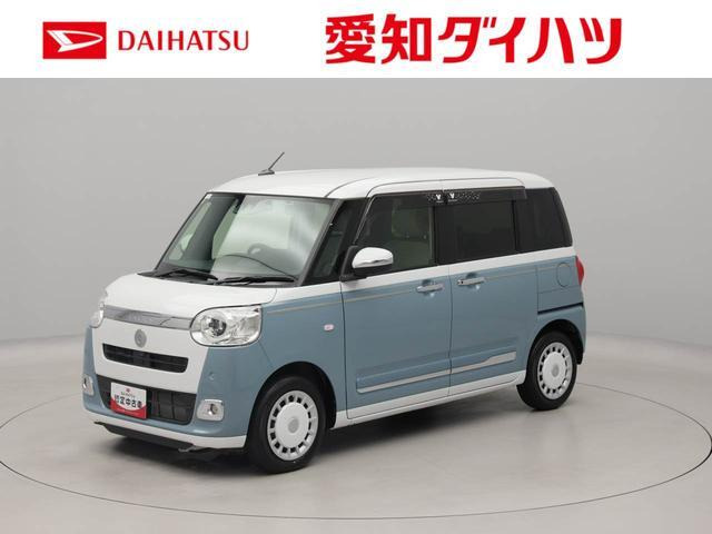 ムーヴキャンバス  ストライプス G