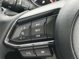 手元で操作が出来るオーディオスイッチやハンズフリースイッチを装備。