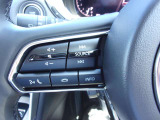 オーディオの音量やチャンネル操作ができるスイッチが、ハンドルに付いています。運転中でも、操作が行えて非常に安全・便利です!