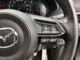 レーダークルーズコントロールを装備。アクセルやブレーキを操作しなくても、自動で先行車との車間距離を保ち追従走行できます。長距離や高速道路を運転する際に、ドライバーへの負担を軽減します。