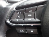 【ステアリングスイッチ】ステアリングスイッチは運転姿勢や視線を崩さずに操作が可能です。左側にはオーディオ類があります。