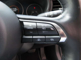 ステアリングスイッチで、先行車に自動追従するアダプティブクルーズコントロールが作動可能。設定した車速内での車間距離を自動で調整・維持。高速道路の渋滞時もアクセル・ブレーキ操作から解放されます。