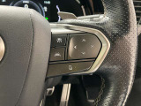 前方の車との車間を設定し、スピードを上げたり緩めたりを自動で行ってくれる追尾式の「レーダークルーズ」。上級装備の一つです!高級車にしかつかない嬉しい機能です。