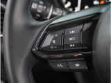 【ステアリングスイッチ】運転中、前方から目線をそらすことなく、オーディオ等の操作が可能な便利機能。安心&快適ドライブにはマストな装備。
