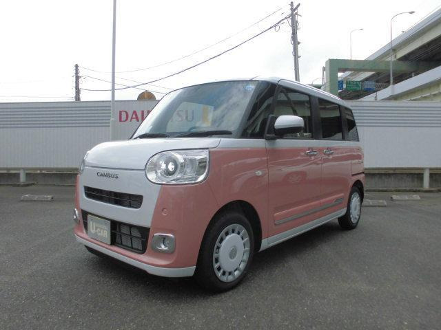 ムーヴキャンバス  ストライプス G