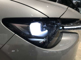 デザインのよいLEDヘッドライトシステム デイライト機能あり