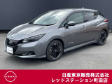 日産の電気自動車、リーフが入ってきました。