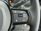 ◆アダプティブクルーズコントロール◆予め設定した車速内でクルマが自動的に加減速。前走車との適切な車間距離を維持しながら追従走行します。【LKAS】車線維持支援システムでステアリング操作を支援。