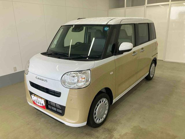 ムーヴキャンバス  ストライプス X