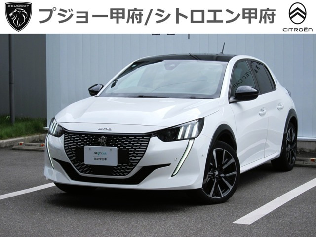 e-208 GT