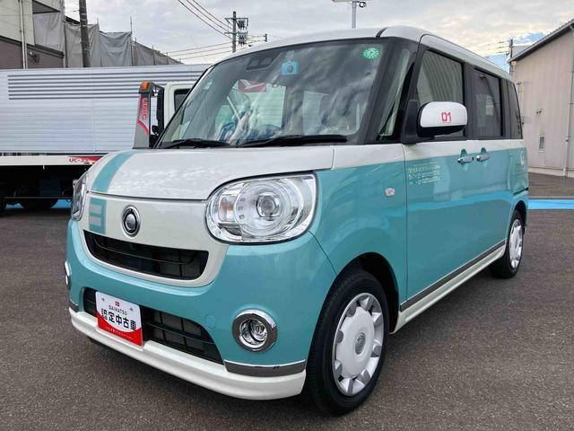 ムーヴキャンバス G メイクアップ リミテッド SAIII 