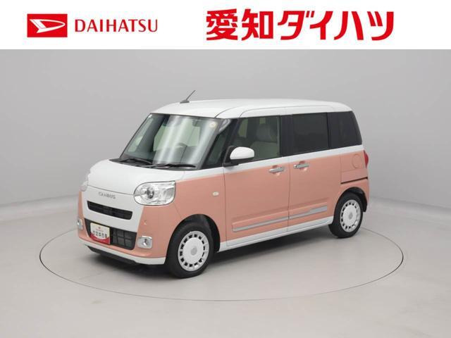 ムーヴキャンバス  ストライプス G