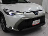 フロント廻りです。