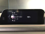 オーディオソースはこのようになっています。