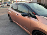 ウィンカー付きドアミラーカバー