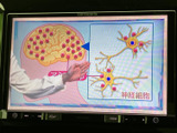 画面に映像を表示できる装備を備え、停車中のひとときにテレビや映像を楽しめます。画面は見やすい位置にまとまり、車内での待ち時間も過ごしやすくする便利な装備です。