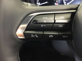 左側にはオーディオ関連のスイッチがございます!音量の調節やチャンネル変更、INFOボタンを押すと平均燃費などを表示してくれる画面の切り替えボタンとなってます!