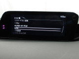 メーカーオプションTVチューナー付!
