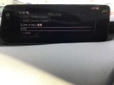 オーディオソースはこのようになっています。